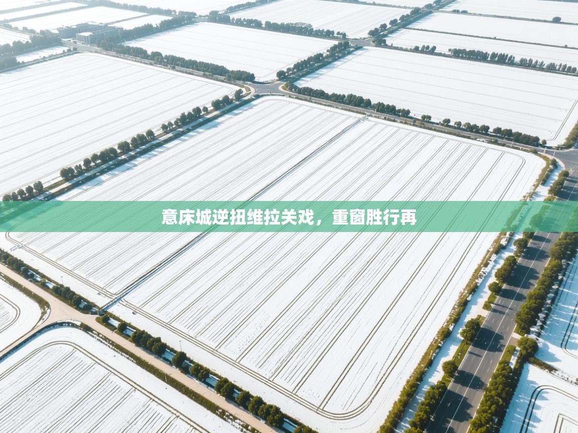 意床城逆扭维拉关戏,重窗胜行再 第2张